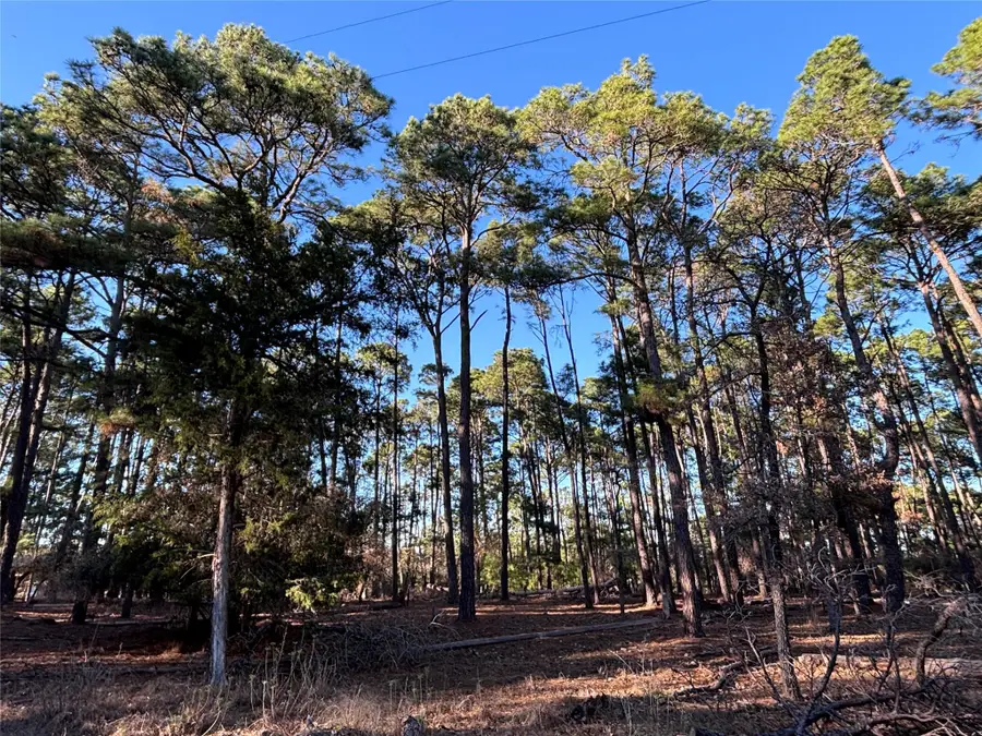 987 Stephen Ln, La Grange, TX 78945 - #2