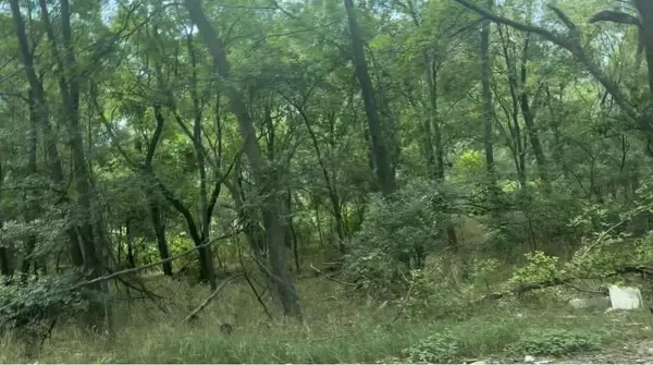 4102 Lower Dr, Austin, TX 78725