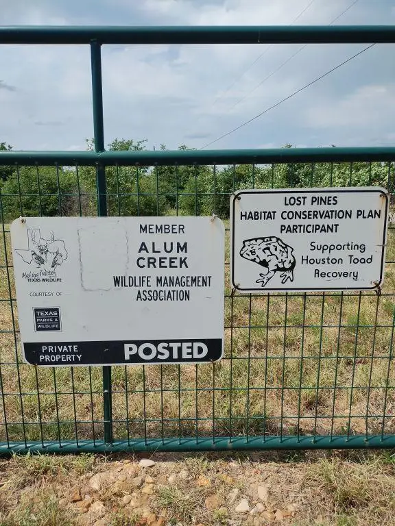 538 Cottletown Rd, Smithville, TX 78957 - Image #3