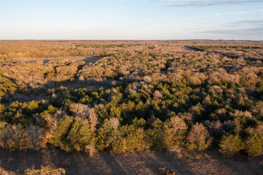 0000 TBD 21+/- Ac Grassyville Rd, Paige, TX 78659 - Image #2