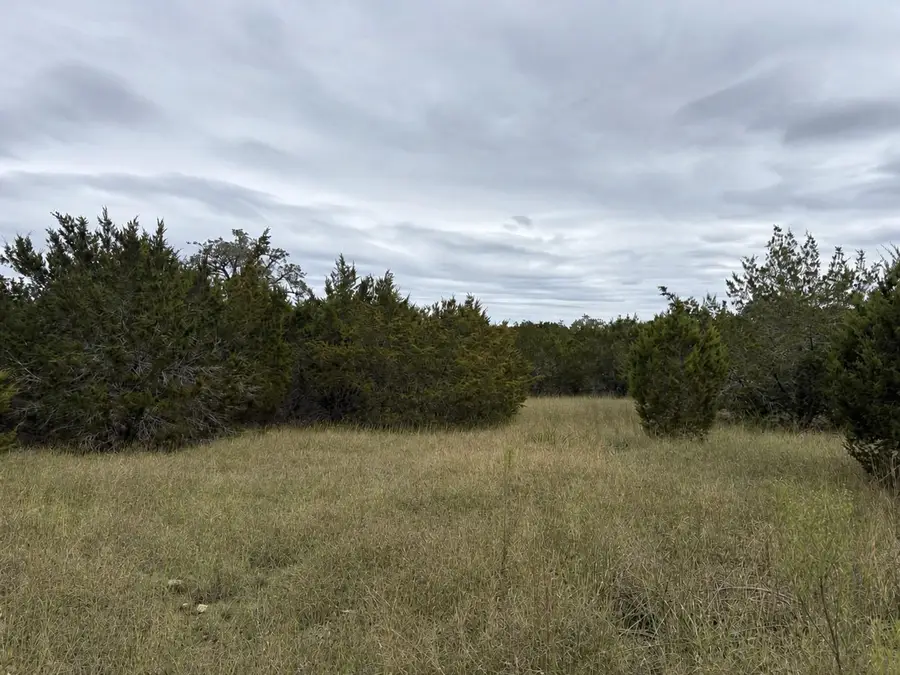 Lot 20E Overland Stage Rd, Dripping Springs, TX 78620 - #2