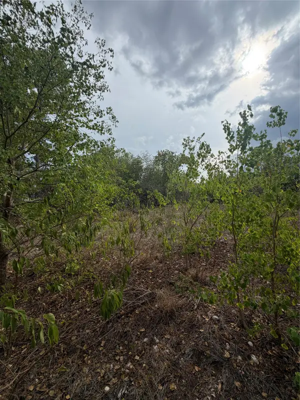 107 Waialua Ct, Bastrop, TX 78602