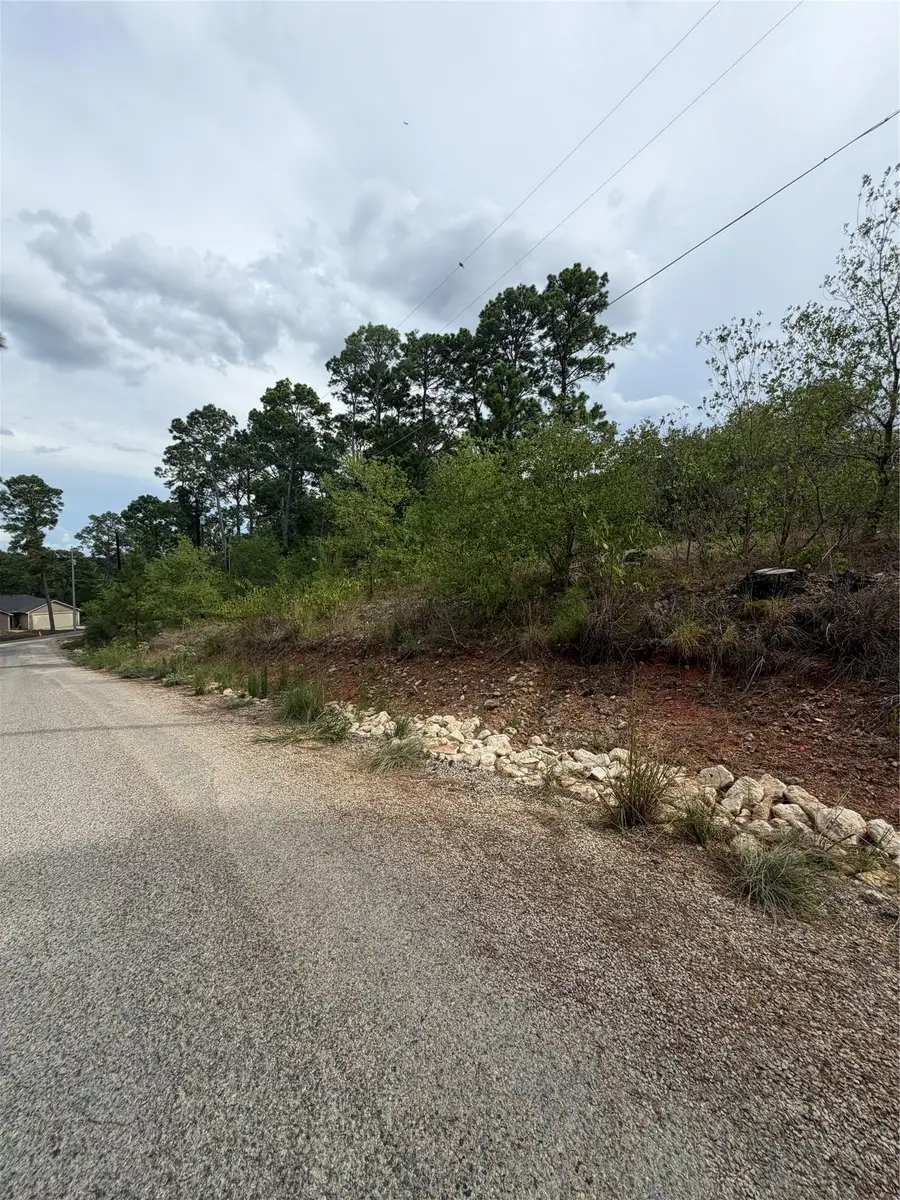 107 Waialua Ct, Bastrop, TX 78602 - #3