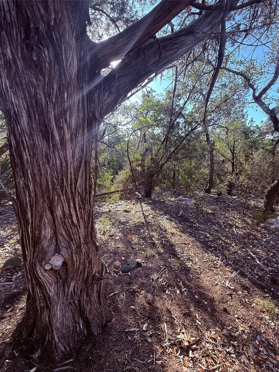 3600 Stagecoach Ranch Loop, Dripping Springs, TX 78620 - #3