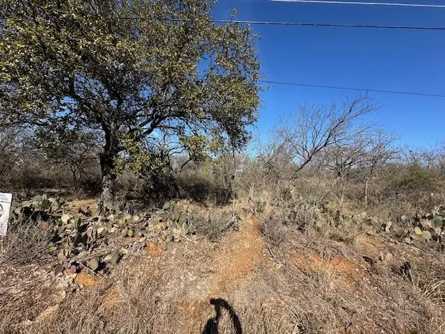 0 Tbd Cedar Dr, Granite Shoals, TX 78654 - Image #2