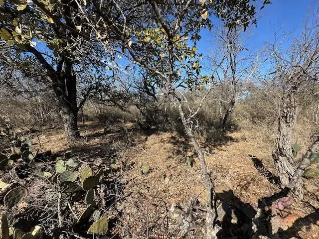 0 Tbd Cedar Dr, Granite Shoals, TX 78654 - Image #3