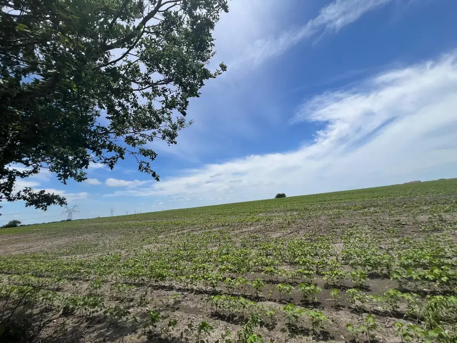 000 County Rd 327 Rd, Granger, TX 76530 - #2