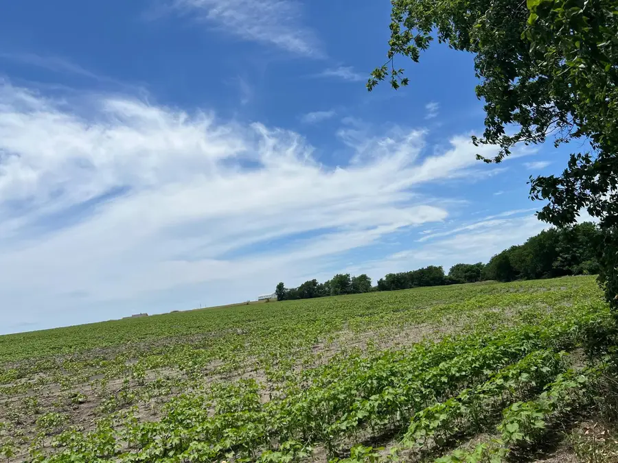 000 County Rd 327 Rd, Granger, TX 76530 - #3