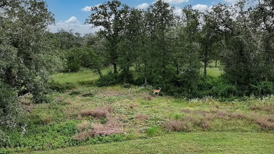 2625 Burke Rd, Flatonia, TX 78941 - #3