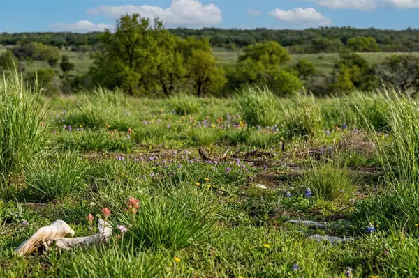 Lot 20 Gracewood Way, Dripping Springs, TX 78620