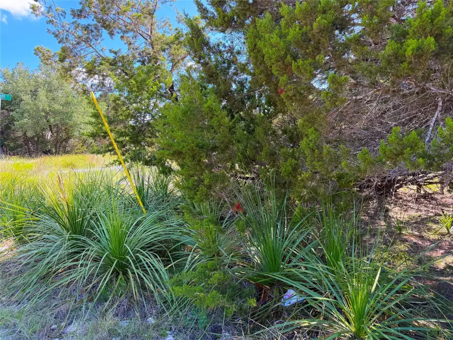 2021 Ronda Ct, Canyon Lake, TX 78133 - #2