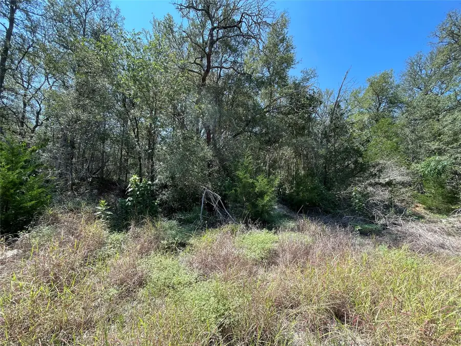 Lot 1112 Kawanui Dr, Bastrop, TX 78602 - #2
