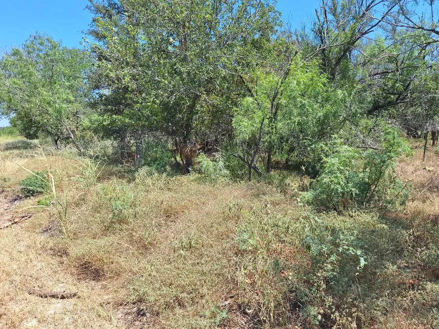 Lot 1112 Kawanui Dr, Bastrop, TX 78602 - #3