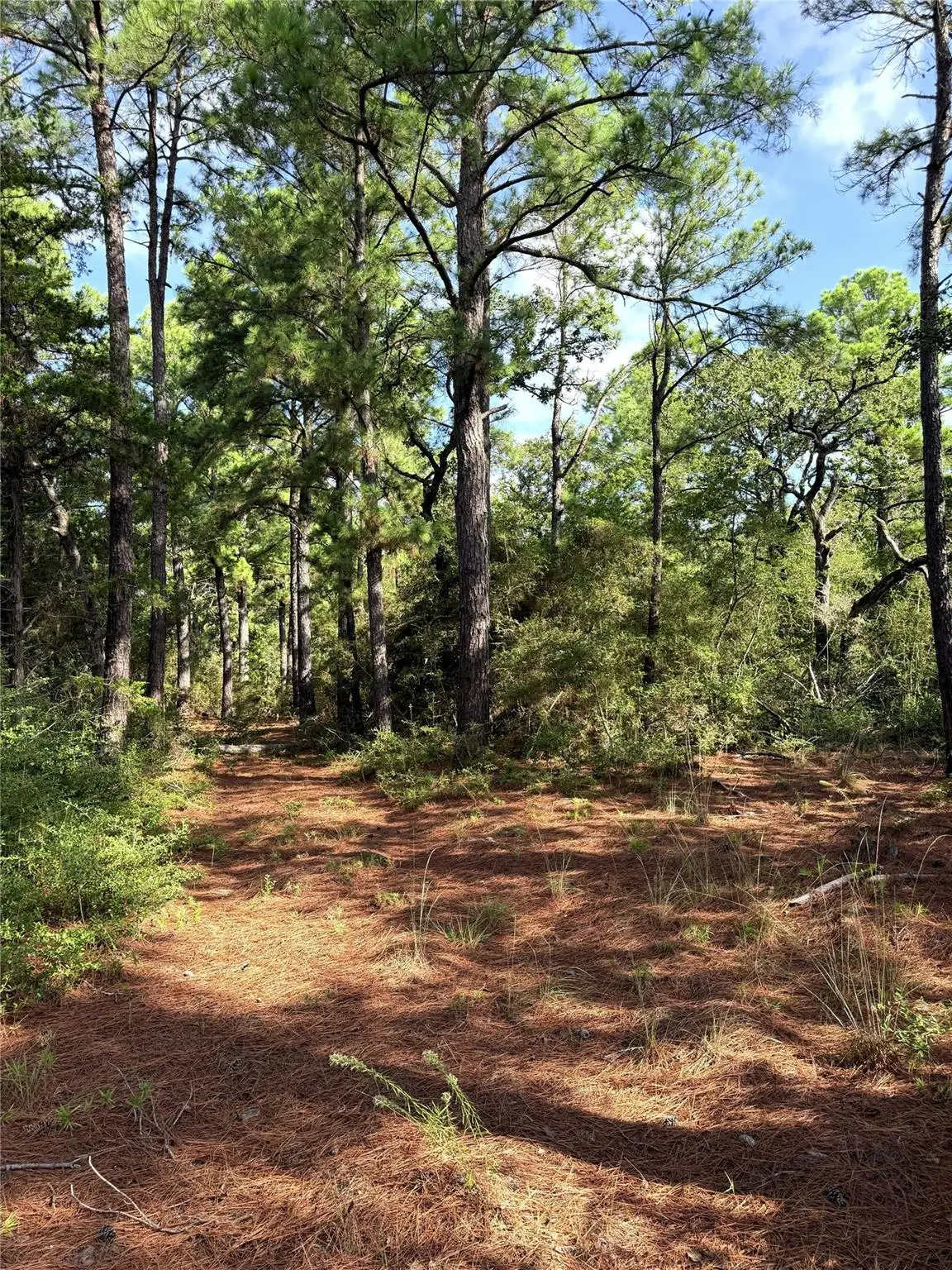 TBD Marlin St, McDade, TX 78650 - #1