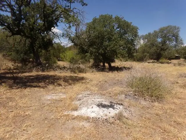 Lot 140 Pine Lane, Cottonwood Shores, TX 78657 - #1