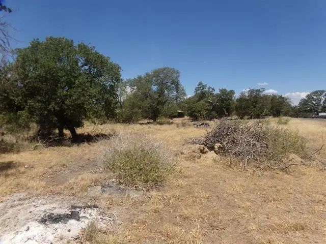 Lot 140 Pine Lane, Cottonwood Shores, TX 78657 - #2