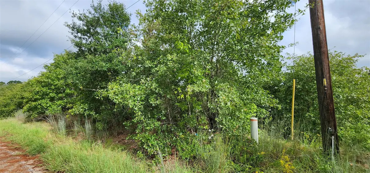 TBD Homonu (lot 105) Ct, Bastrop, TX 78602 - #1