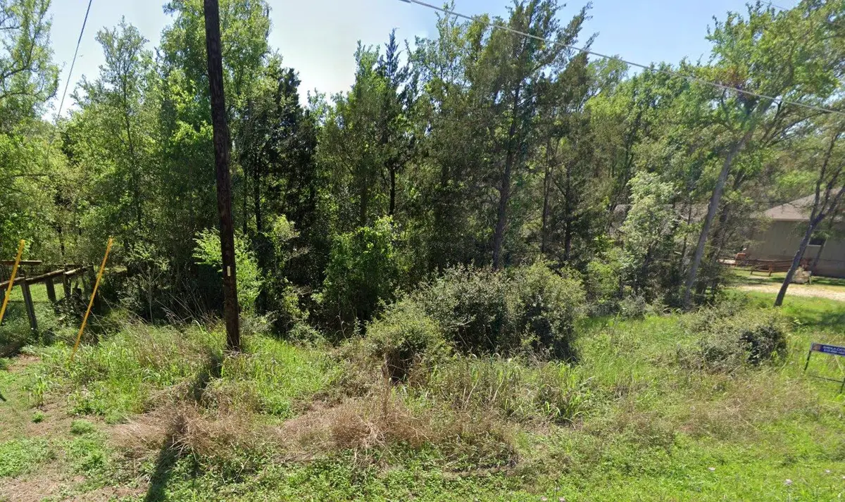 195 Lamaloa Ln, Bastrop, TX 78602 - #1