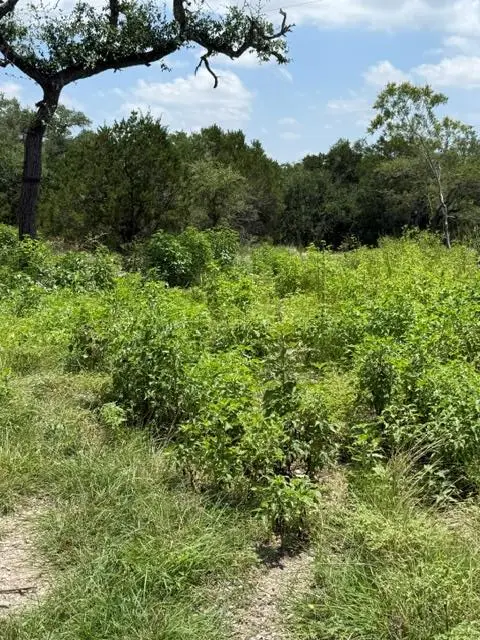 25402 Fawn Dr, Leander, TX 78641 - #2