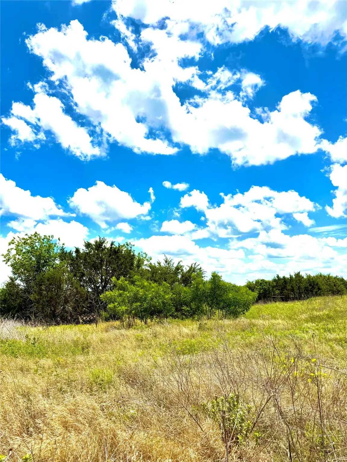 TBD Tract 75 Adobe Hill Dr, Stephenville, TX 76401 - #1