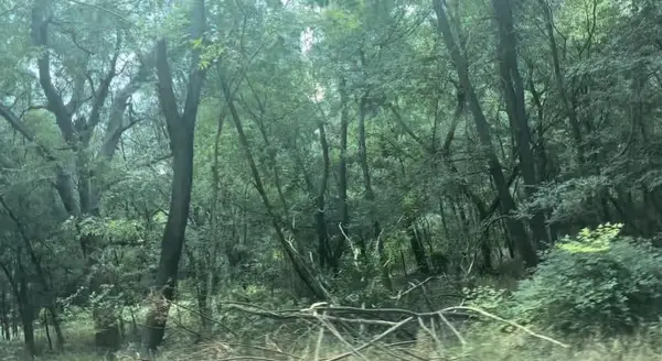 No Address Imperial Dr, Austin, TX 78725