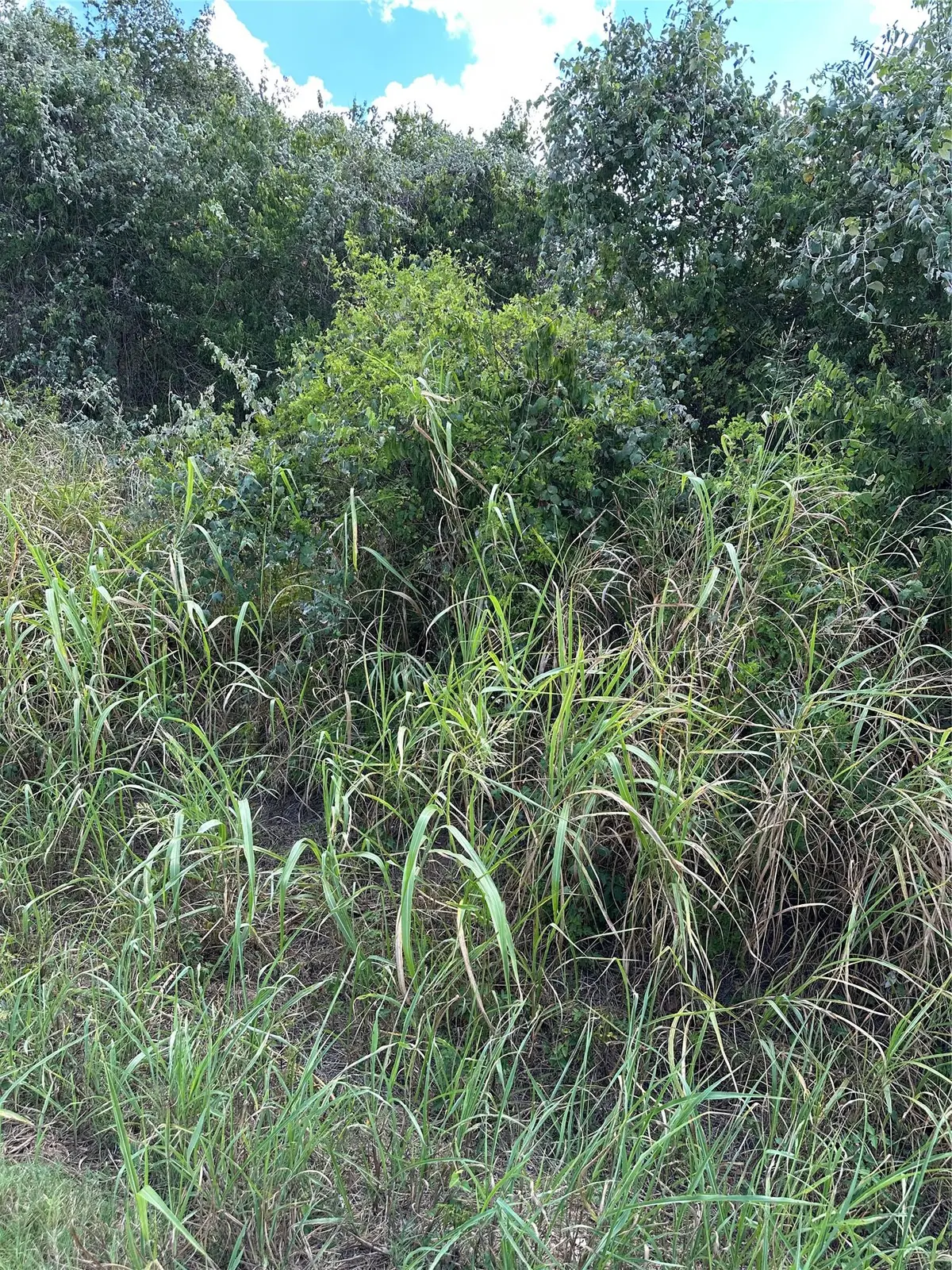 TBD Pine Hill Loop Loop, Bastrop, TX 78602 - Image #1