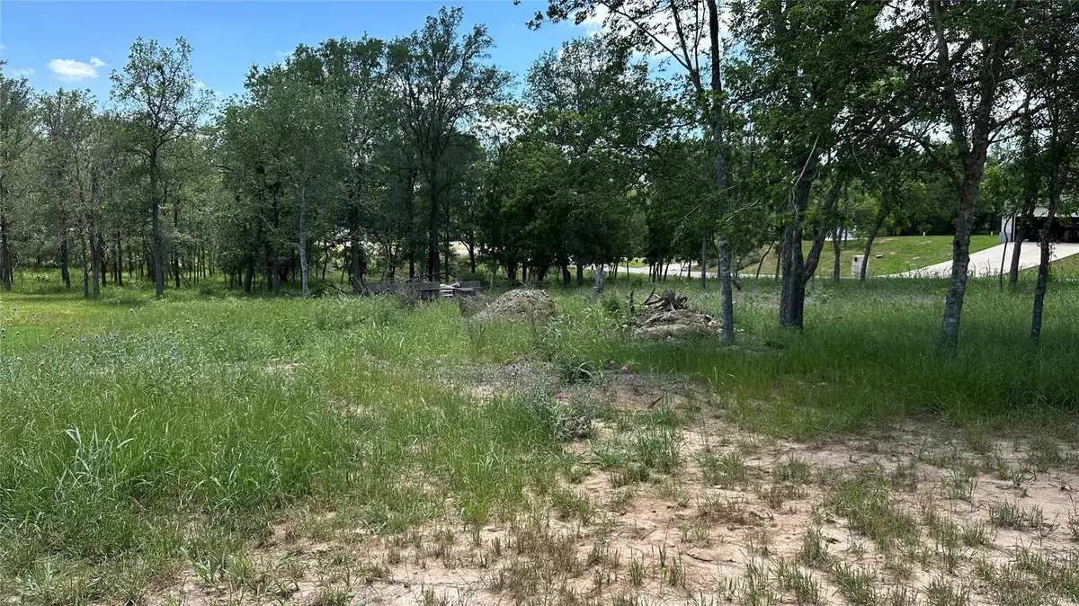 103 E Keomuku Ln, Bastrop, TX 78602 - #1