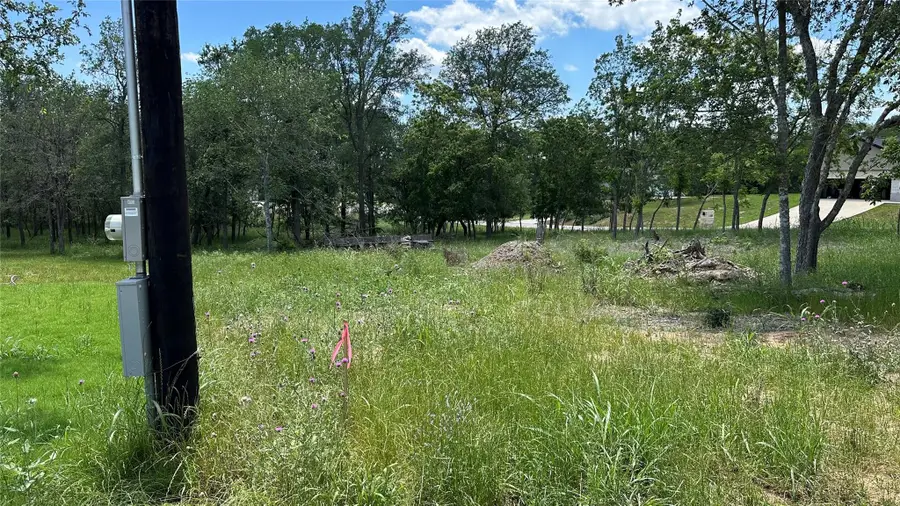 103 E Keomuku Ln, Bastrop, TX 78602 - #3