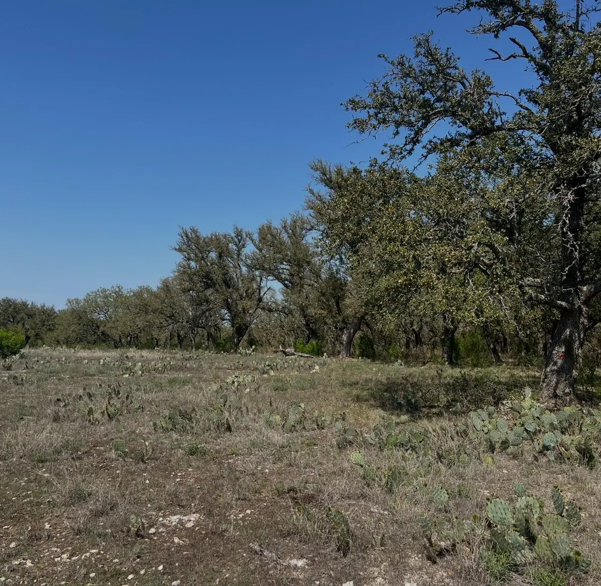 Lot 42 Waterbuck Way, Lampasas, TX 76550 - #1