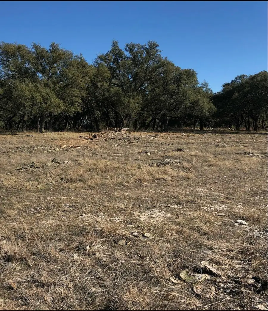 Lot 42 Waterbuck Way, Lampasas, TX 76550 - #2