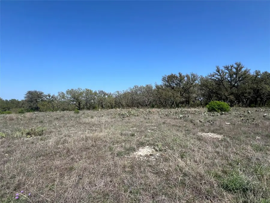 Lot 42 Waterbuck Way, Lampasas, TX 76550 - #3