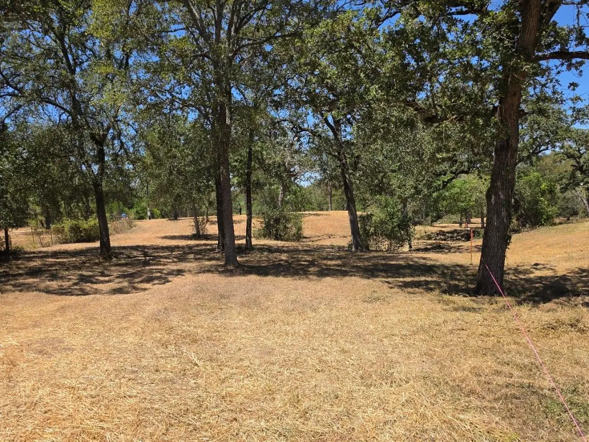 183 Wilbarger Cv, Elgin, TX 78621 - #1