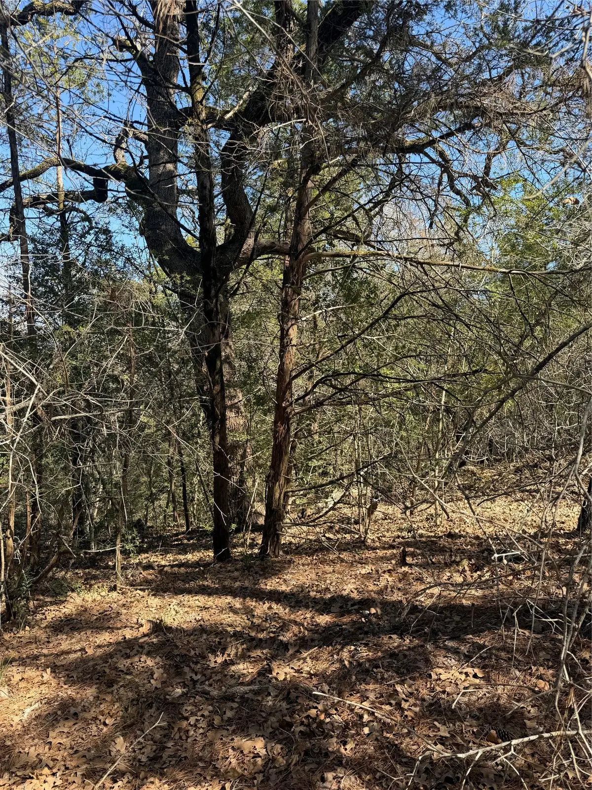 Lot 321 Keneka Ln, Bastrop, TX 78602 - #1