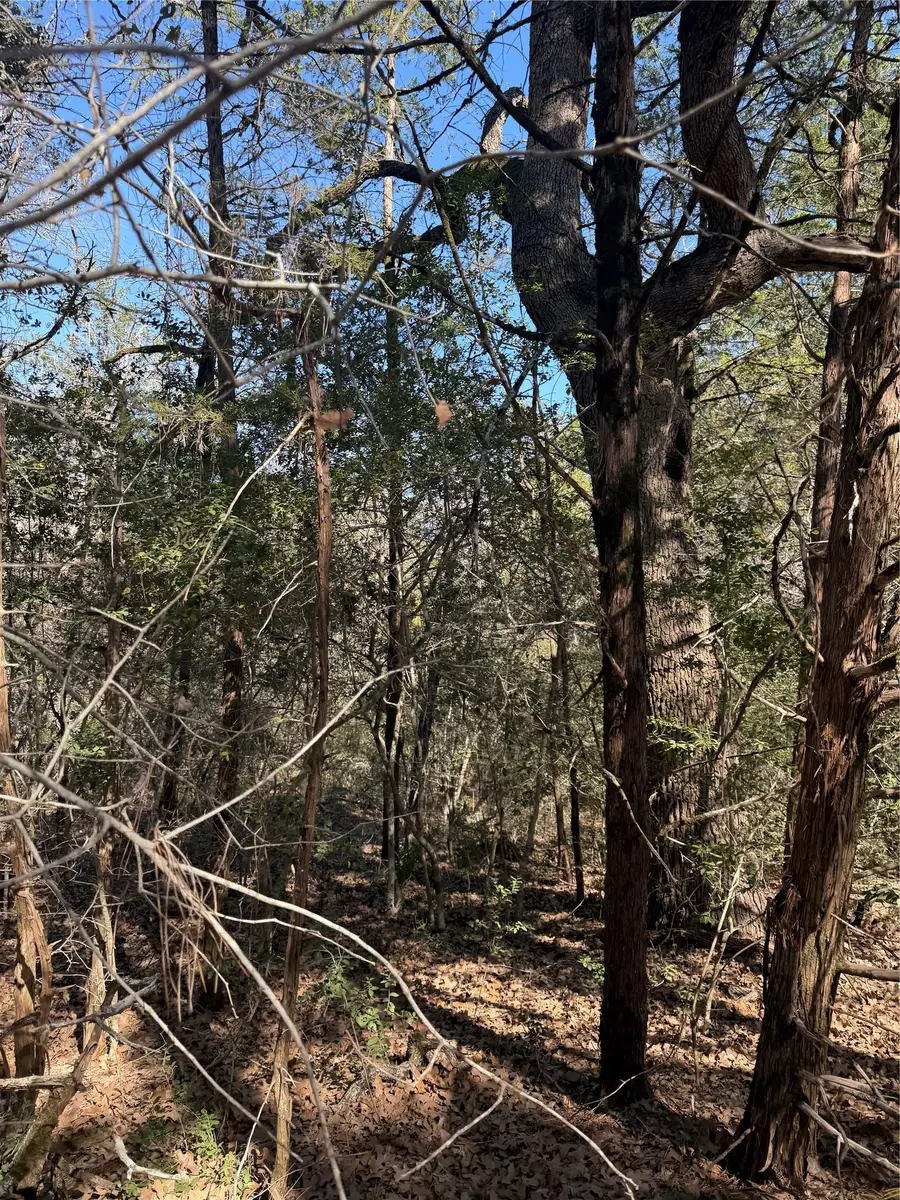 Lot 321 Keneka Ln, Bastrop, TX 78602 - #3