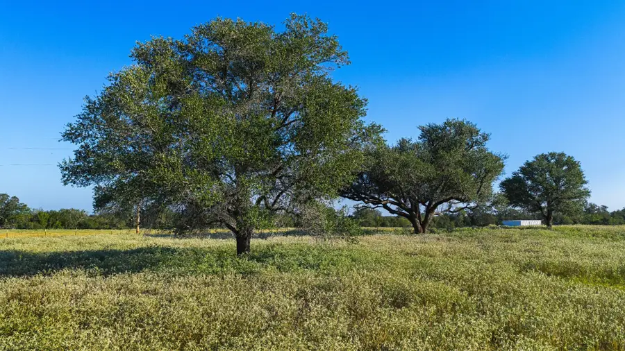 2612 Roosevelt Dr, Kingsbury, TX 78638 - #2