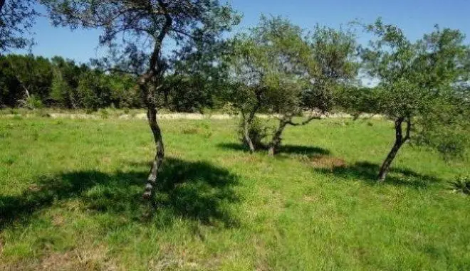 124 Sendera Way, Canyon Lake, TX 78133 - #1