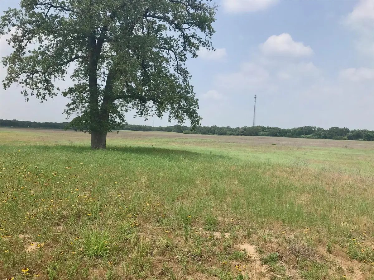 1672 Sayers Rd #Tract 1, Bastrop, TX 78602 - #1