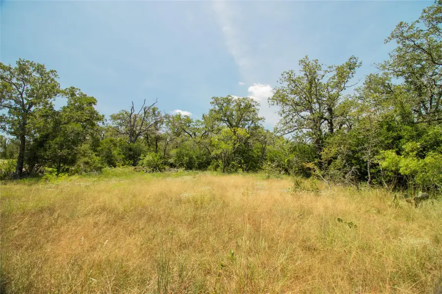 2564 Bluestem Crest Ln, Seguin, TX 78155 - #2