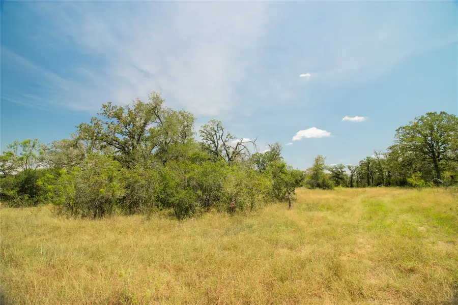 2564 Bluestem Crest Ln, Seguin, TX 78155 - #3