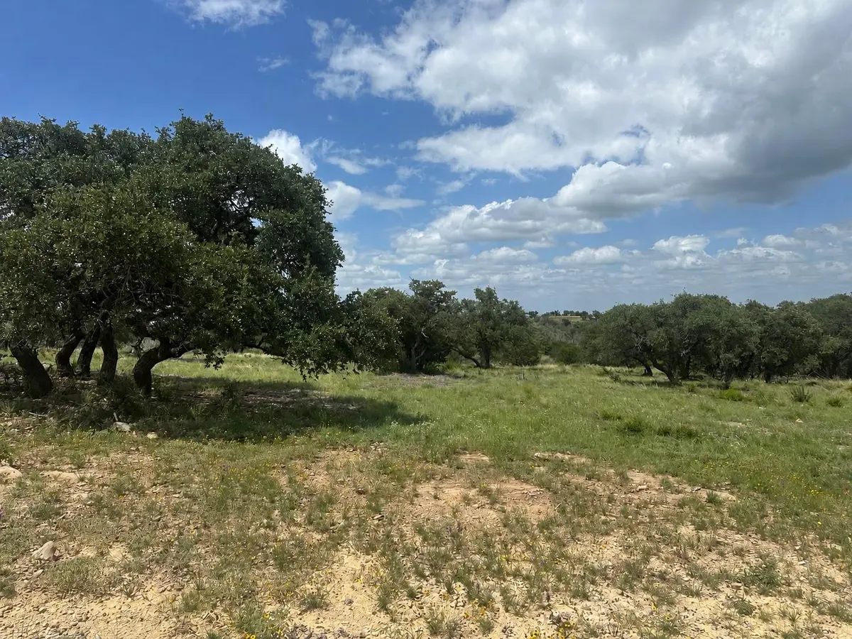 140 Longview Ln, San Saba, TX 76877 - #1