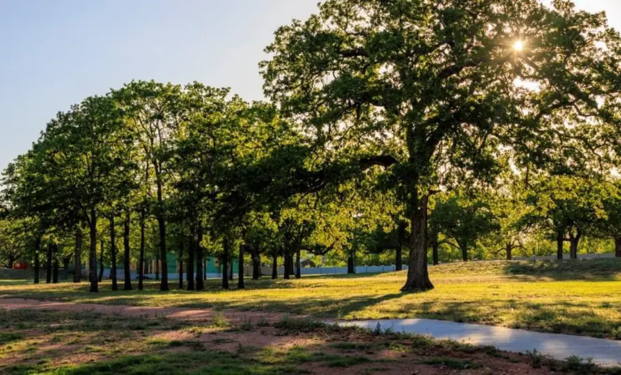 Lot 59 - 403 Interlaken St, Fredericksburg, TX 78624 - #2