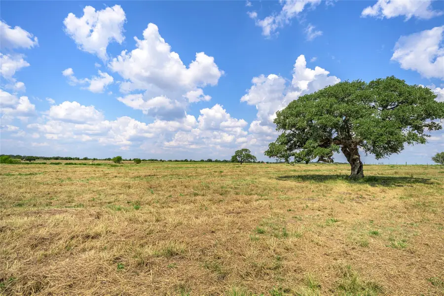2179 E Highway 237, Round Top, TX 78954 - Image #3