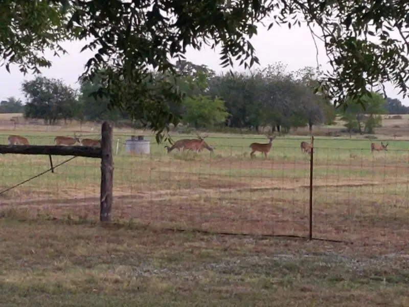 10905 fm 1915 Fm1915 Highway, Buckholts, TX 76518 - #1