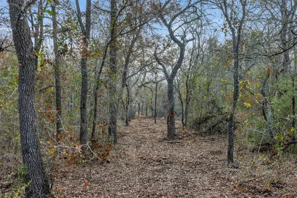 766 Bugtussle Ln, Luling, TX 78648