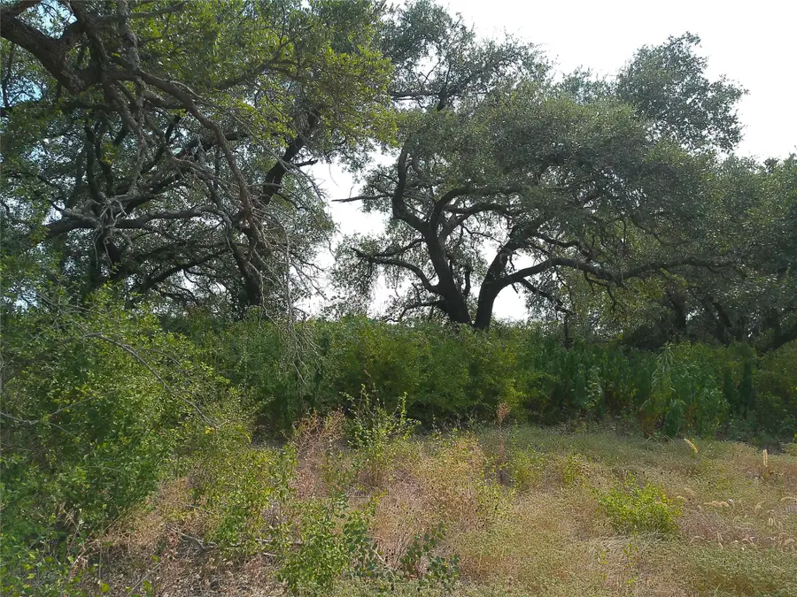 Lot 64 Rycen Dr, Bertram, TX 78605 - #2
