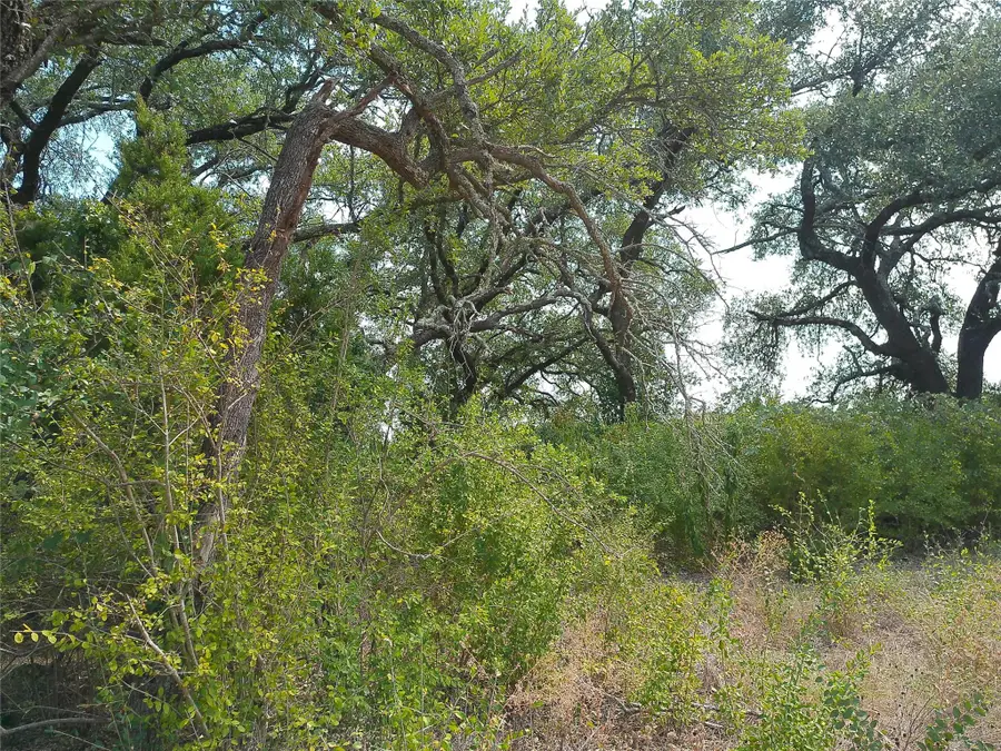 Lot 64 Rycen Dr, Bertram, TX 78605 - #3