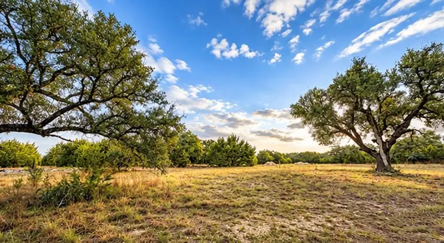 208 Viento Cv, Blanco, TX 78606 - #3