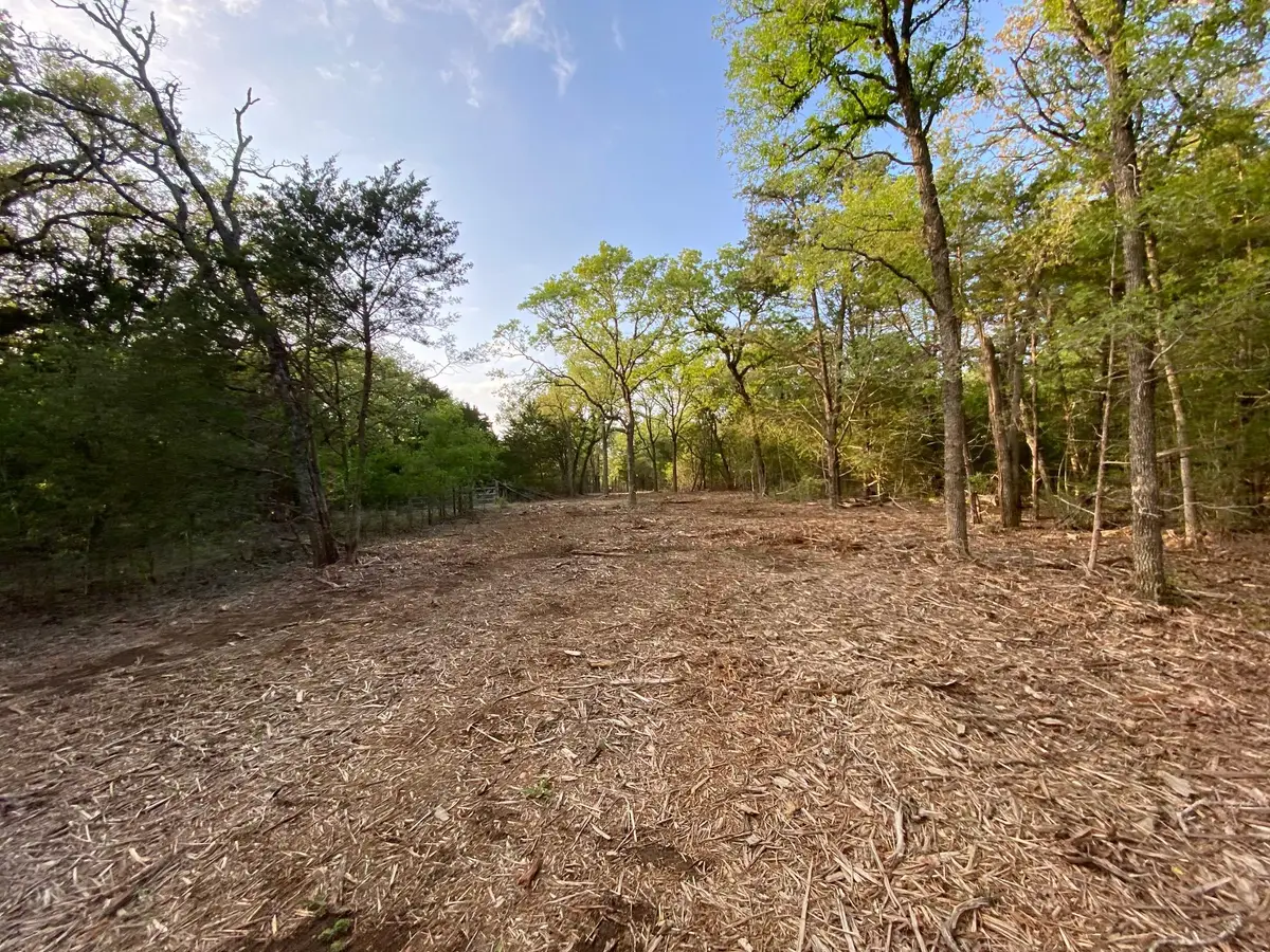 TBD Parcel 2 Paffen Dr, Paige, TX 78659 - #1