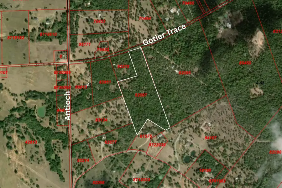 TBD Gotier Trace Rd, Paige, TX 78659 - #2