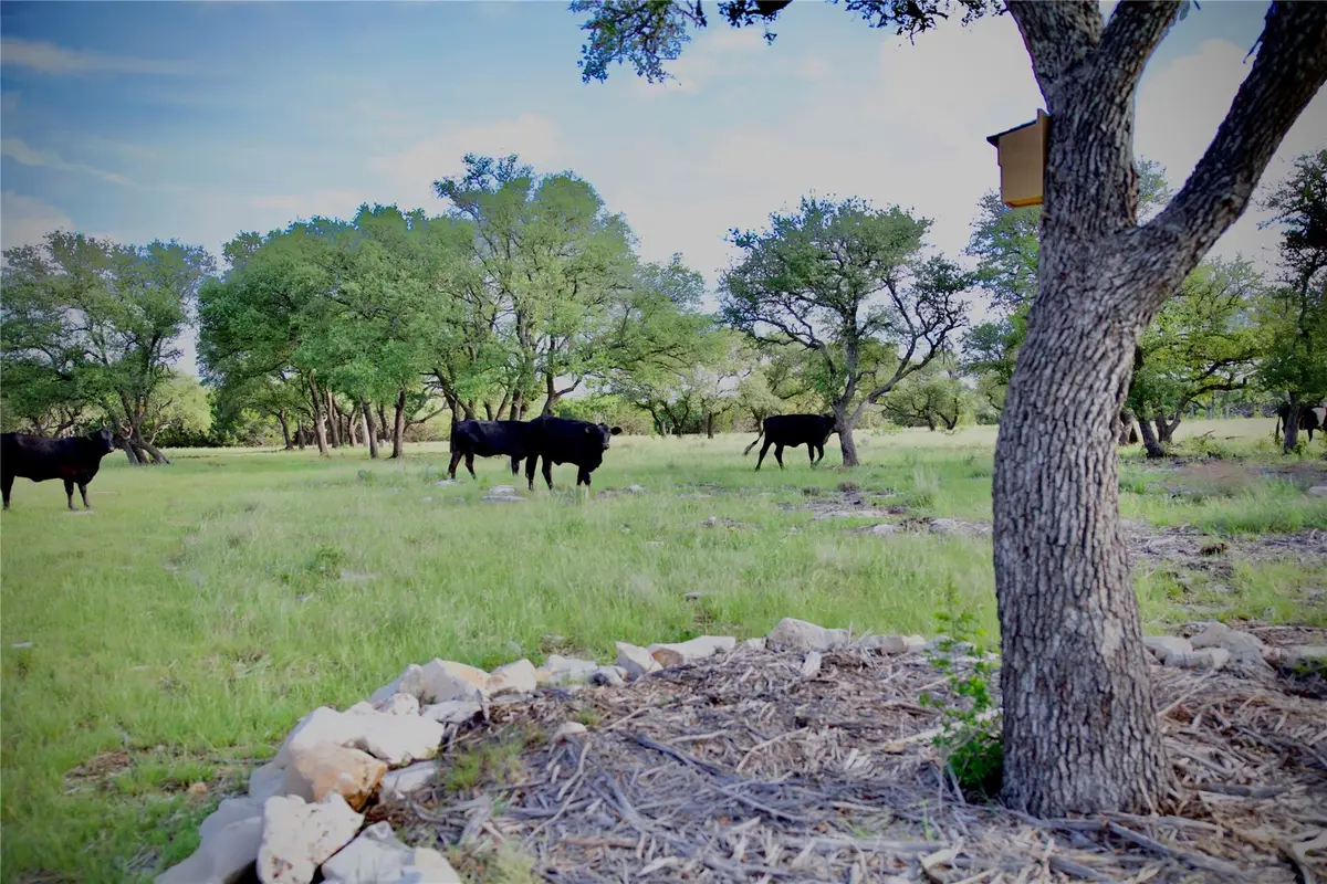 Lot 33 Starfall Dr, Lampasas, TX 76550 - #1